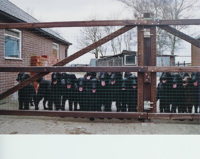 Wij staan op wacht.jpg